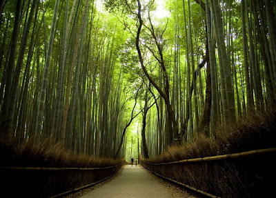 Jalan Setapak Bambu, Jepang